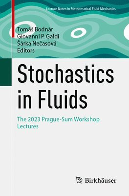 bokomslag Stochastics in Fluids: The 2023 Prague-Sum Workshop Lectures