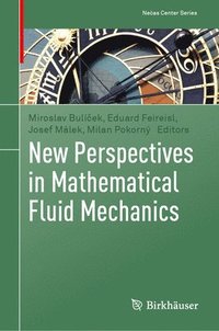 bokomslag New Perspectives in Mathematical Fluid Mechanics