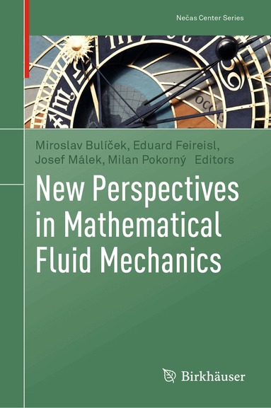 Miroslav Bulíček, Eduard Feireisl, Josef Málek, Milan Pokorný - New Perspectives in Mathematical Fluid Mechanics, Inbunden