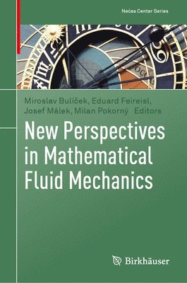 bokomslag New Perspectives in Mathematical Fluid Mechanics