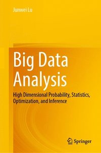 bokomslag Big Data Analysis: High Dimensional Probability, Statistics, Optimization, and Inference