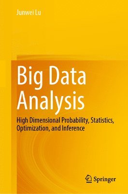 bokomslag Big Data Analysis: High Dimensional Probability, Statistics, Optimization, and Inference