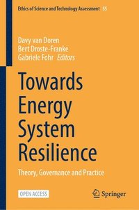 bokomslag Towards Energy System Resilience: Theory, Governance and Practice