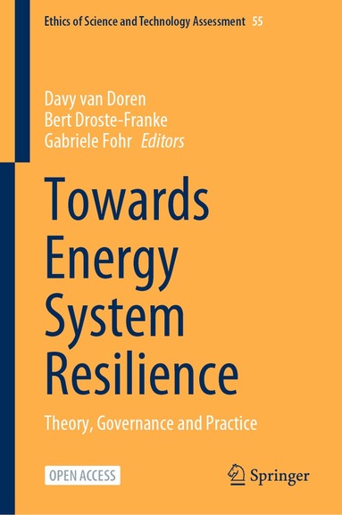 Davy van Doren, Bert Droste-Franke, Gabriele Fohr - Towards Energy System Resilience, Inbunden