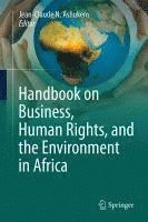 bokomslag Handbook on Business, Human Rights, and the Environment in Africa
