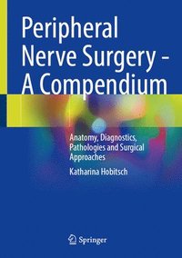 bokomslag Peripheral Nerve Surgery - A Compendium