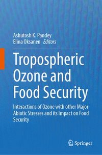 bokomslag Tropospheric Ozone and Food Security
