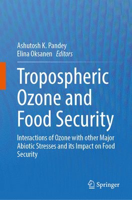 bokomslag Tropospheric Ozone and Food Security