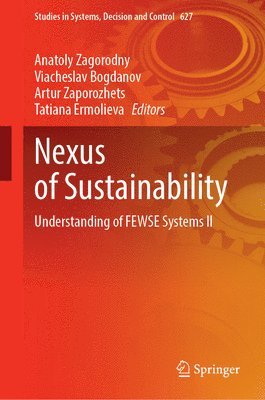 bokomslag Nexus of Sustainability: Understanding of Fewse Systems ?i