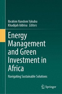 bokomslag Energy Management and Green Investment in Africa