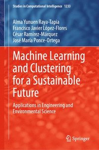 bokomslag Machine Learning and Clustering for a Sustainable Future