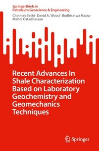 bokomslag Recent Advances In Shale Characterization Based on Laboratory Geochemistry and Geomechanics Techniques