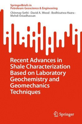 Chinmay Sethi, David A. Wood, Bodhisatwa Hazra, Mehdi Ostadhassan, David a. Wood - Recent Advances In Shale Characterization Based on Laboratory Geochemistry and Geomechanics Techniques, Häftad