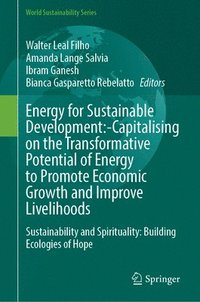 bokomslag Energy for Sustainable Development: Capitalising on the Transformative Potential of Energy to Promote Economic Growth and Improve Livelihoods