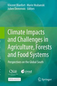bokomslag Climate Impacts and Challenges in Agriculture, Forests and Food Systems: Perspectives on the Global South