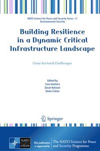 bokomslag Building Resilience in a Dynamic Critical Infrastructure Landscape