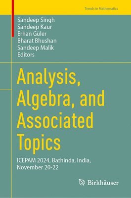 bokomslag Analysis, Algebra, and Associated Topics: Icepam 2024, Bathinda, India, November 20-22