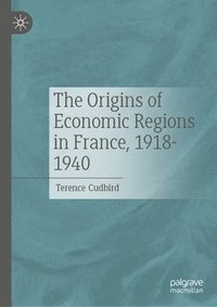 bokomslag The Origins of Economic Regions in France, 1918-1940