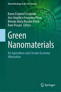 bokomslag Green Nanomaterials: An Agriculture and Circular Economy Alternative