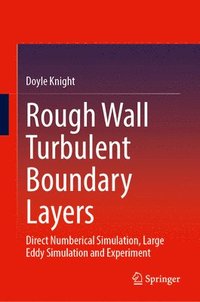 bokomslag Rough Wall Turbulent Boundary Layers