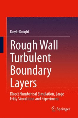 bokomslag Rough Wall Turbulent Boundary Layers