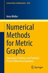 bokomslag Numerical Methods for Metric Graphs