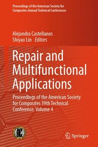 bokomslag Repair and Multifunctional Applications