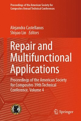 bokomslag Repair and Multifunctional Applications