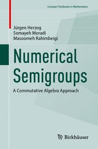 bokomslag Numerical Semigroups: A Commutative Algebra Approach