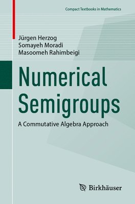 bokomslag Numerical Semigroups: A Commutative Algebra Approach