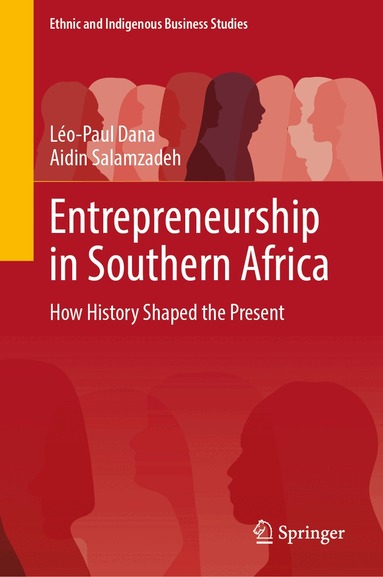 Léo-Paul Dana, Aidin Salamzadeh - Entrepreneurship in Southern Africa, Inbunden