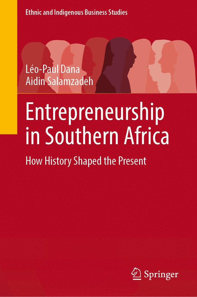 Léo-Paul Dana, Aidin Salamzadeh - Entrepreneurship in Southern Africa, Inbunden