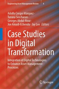 bokomslag Case Studies in Digital Transformation