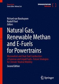 bokomslag Natural Gas, Renewable Methan and E-Fuels for Powertrains