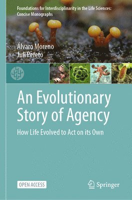 Evolutionary Story of Agency
