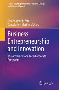 bokomslag Business Entrepreneurship and Innovation