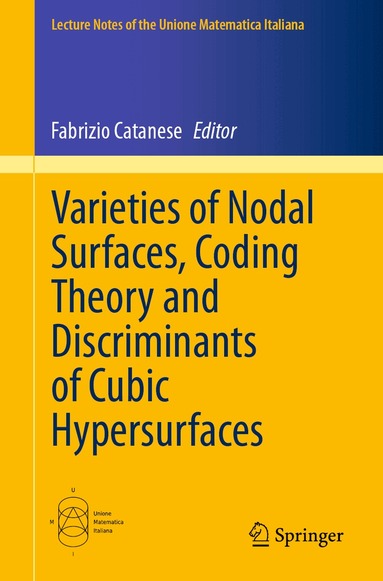 Fabrizio Catanese - Varieties of Nodal Surfaces, Coding Theory and Discriminants of Cubic Hypersurfaces, Häftad