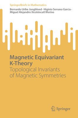 bokomslag Magnetic Equivariant K-Theory