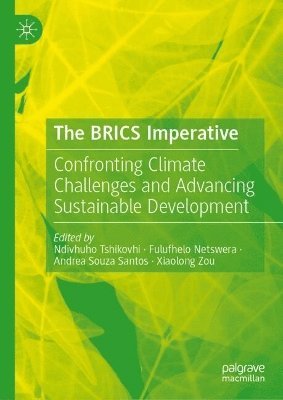 bokomslag BRICS Imperative