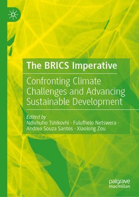 Ndivhuho Tshikovhi, Fulufhelo Netswera, Andrea Souza Santos, Xiaolong Zou - BRICS Imperative, Inbunden