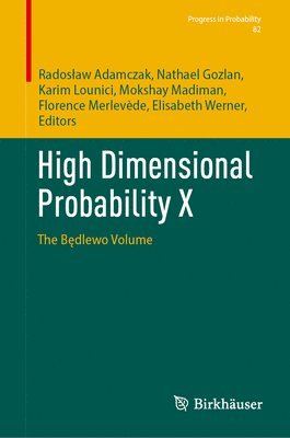 bokomslag High Dimensional Probability X