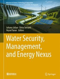 bokomslag Water Security, Management, and Energy Nexus