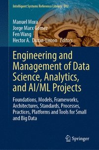 bokomslag Engineering and Management of Data Science, Analytics, and AI/ML Projects