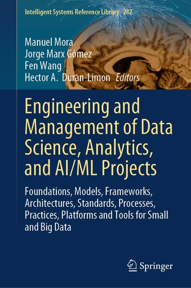 Manuel Mora, Jorge Marx Gómez, Fen Wang, Hector A. Duran-Limon - Engineering and Management of Data Science, Analytics, and AI/ML Projects, Inbunden