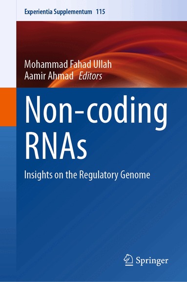 Mohammad Fahad Ullah, Aamir Ahmad - Non-coding RNAs, Inbunden