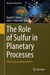 bokomslag Role of Sulfur in Planetary Processes