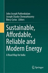 bokomslag Sustainable, Affordable, Reliable and Modern Energy