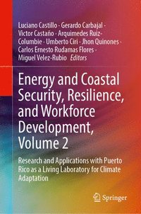 bokomslag Energy and Coastal Security, Resilience, and Workforce Development, Volume 2