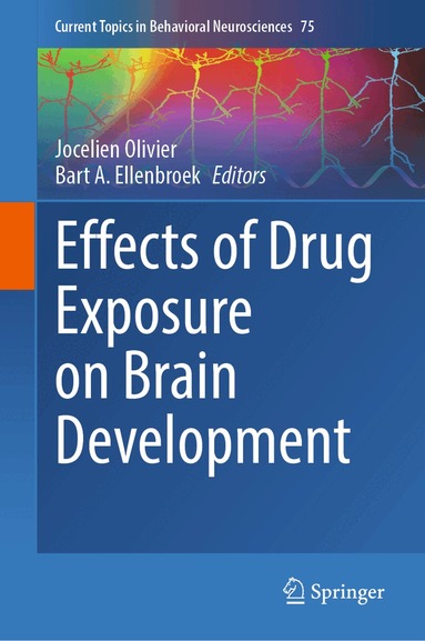 Jocelien Olivier, Bart A. Ellenbroek - Effects of Drug Exposure on Brain Development, Inbunden