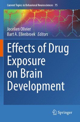 Effects of Drug Exposure on Brain Development